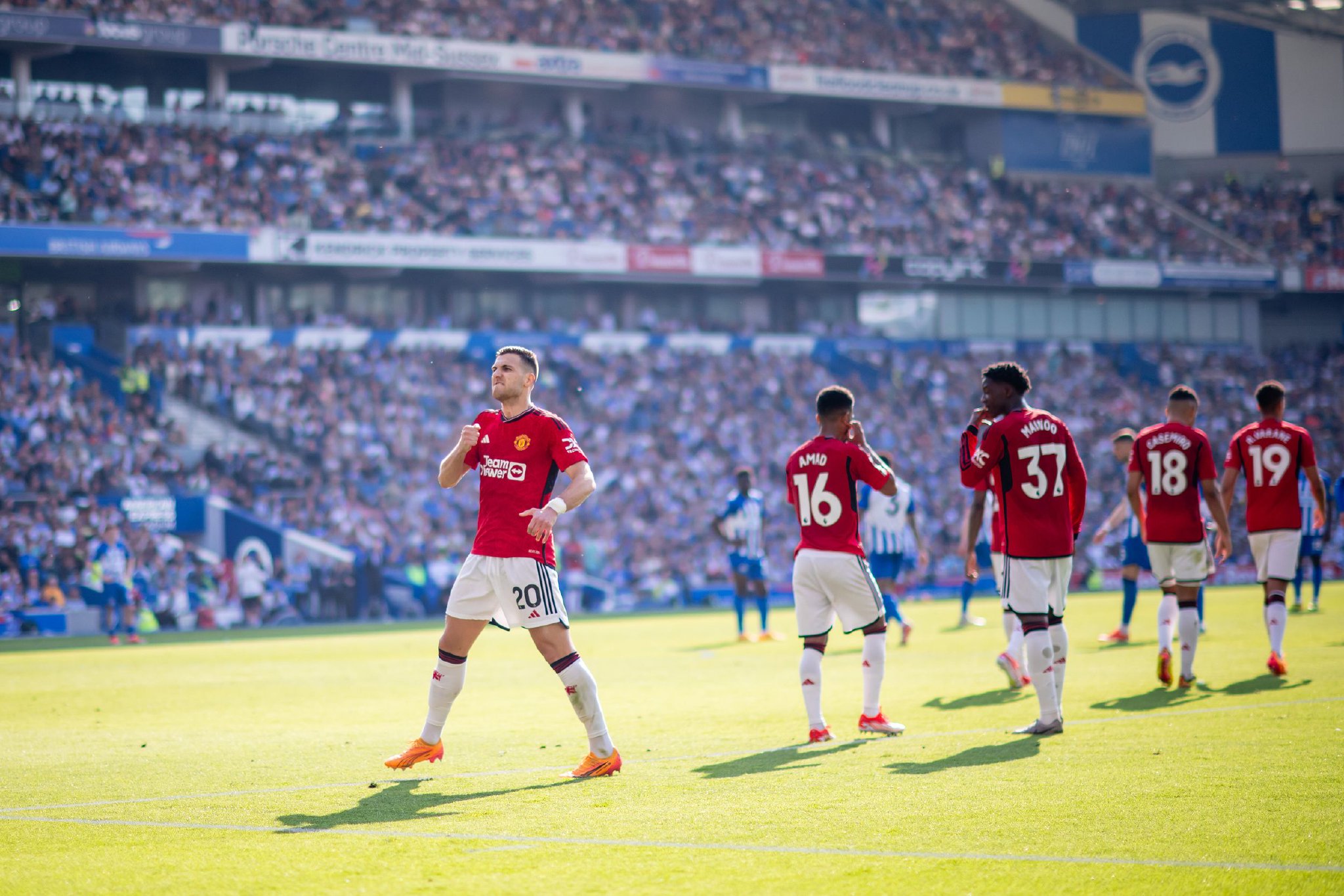 我们看到很 我们看到很